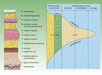 Pennsylvanien supérieur du Kansas - crédits : Encyclopædia Universalis France