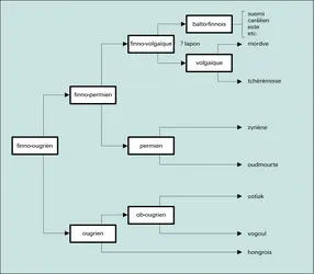 Les langues de l'ensemble finno-ougrien - crédits : Encyclopædia Universalis France