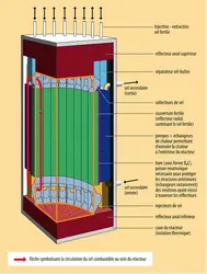 Nucléaire : réacteur à sels fondus en cycle thorium - crédits : Encyclopædia Universalis France