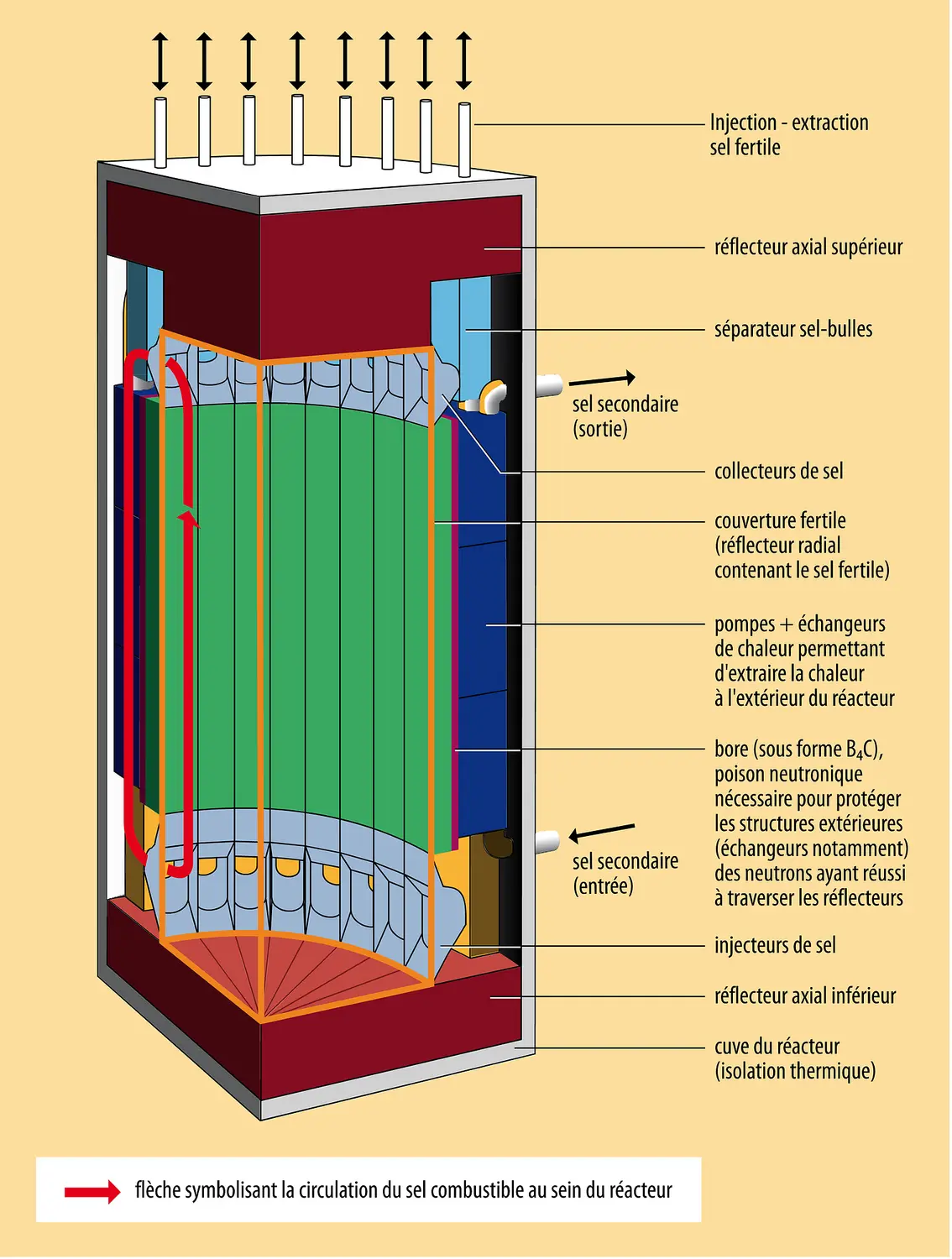 Nucléaire : réacteur à sels fondus en cycle thorium