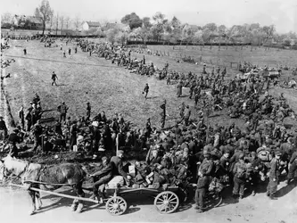 Prisonniers allemands aux mains de la 1<sup>re</sup> armée américaine (avril 1945) - crédits : Keystone/ Hulton Archive/ Getty Images