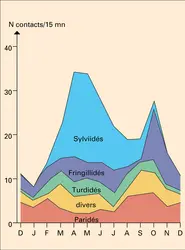 Cycle saisonnier d'oiseaux en France - crédits : Encyclopædia Universalis France