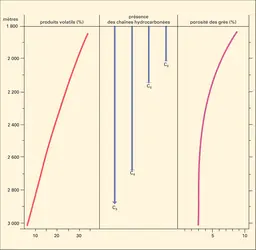 Carbonifère supérieur : sédiments - crédits : Encyclopædia Universalis France