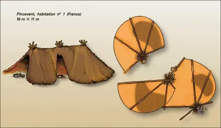 Pincevent (structures unicellulaires) - crédits : Encyclopædia Universalis France