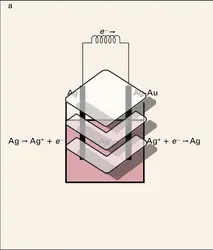 Activités de l'argent dans les alliages Ag-Au - crédits : Encyclopædia Universalis France