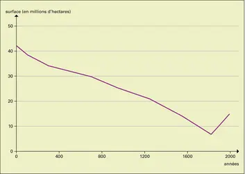 Forêts françaises : évolution des surfaces - crédits : Encyclopædia Universalis France