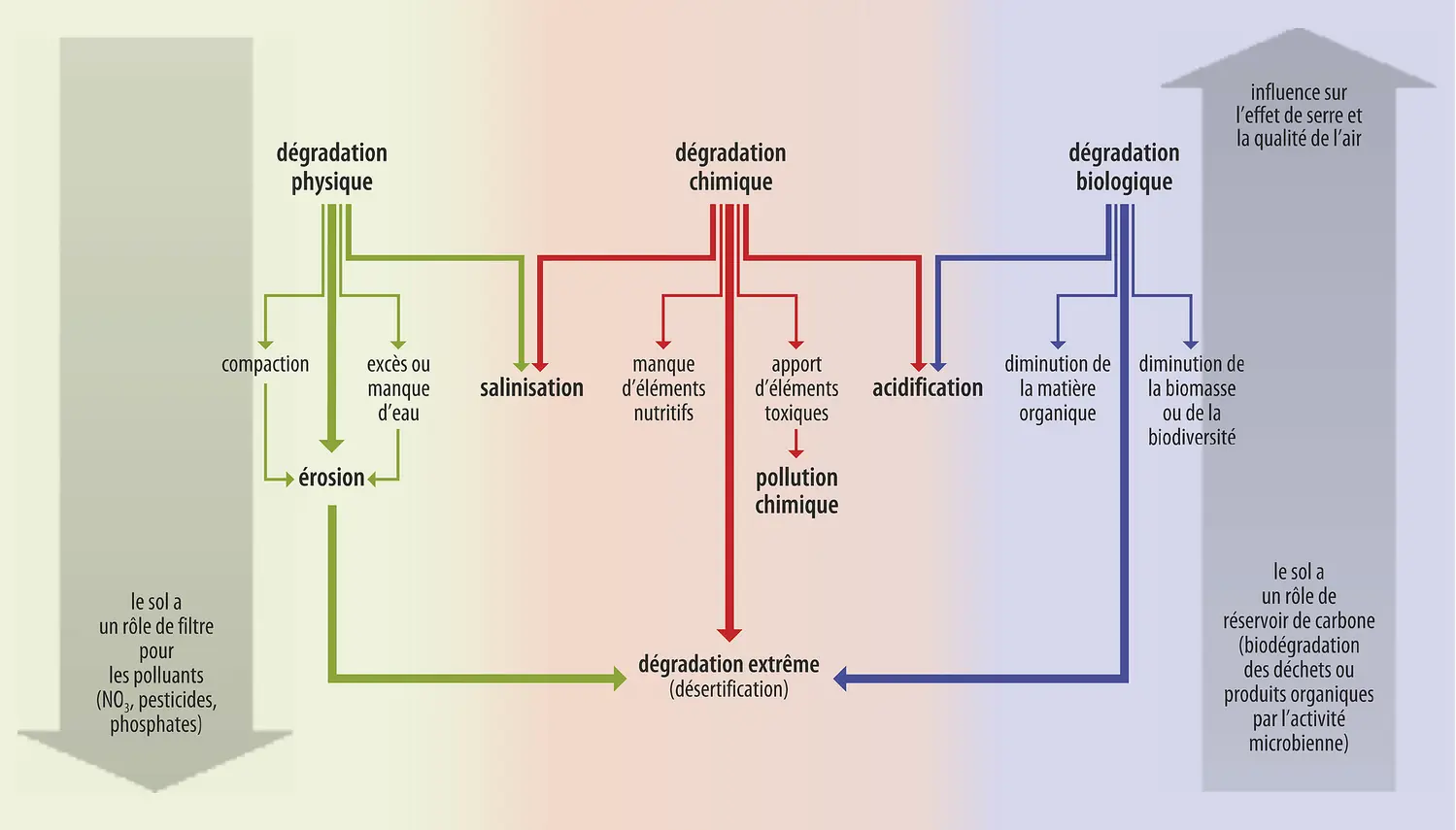 Types de dégradation des sols