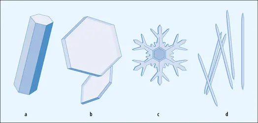 Cristaux de glace - crédits : Encyclopædia Universalis France