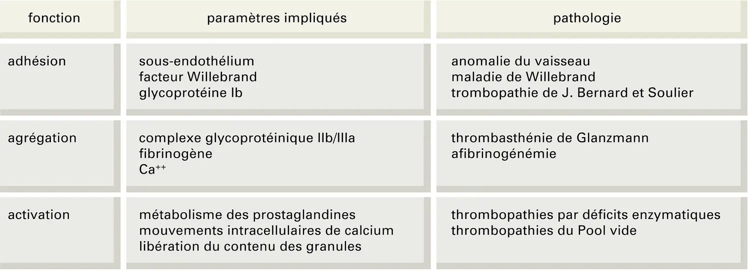 Plaquettes sanguines : fonction et pathologie