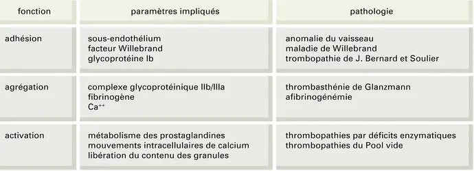 Plaquettes sanguines : fonction et pathologie - crédits : Encyclopædia Universalis France