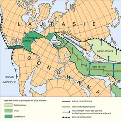 Paléo-Téthys et Néo-Téthys - crédits : Encyclopædia Universalis France