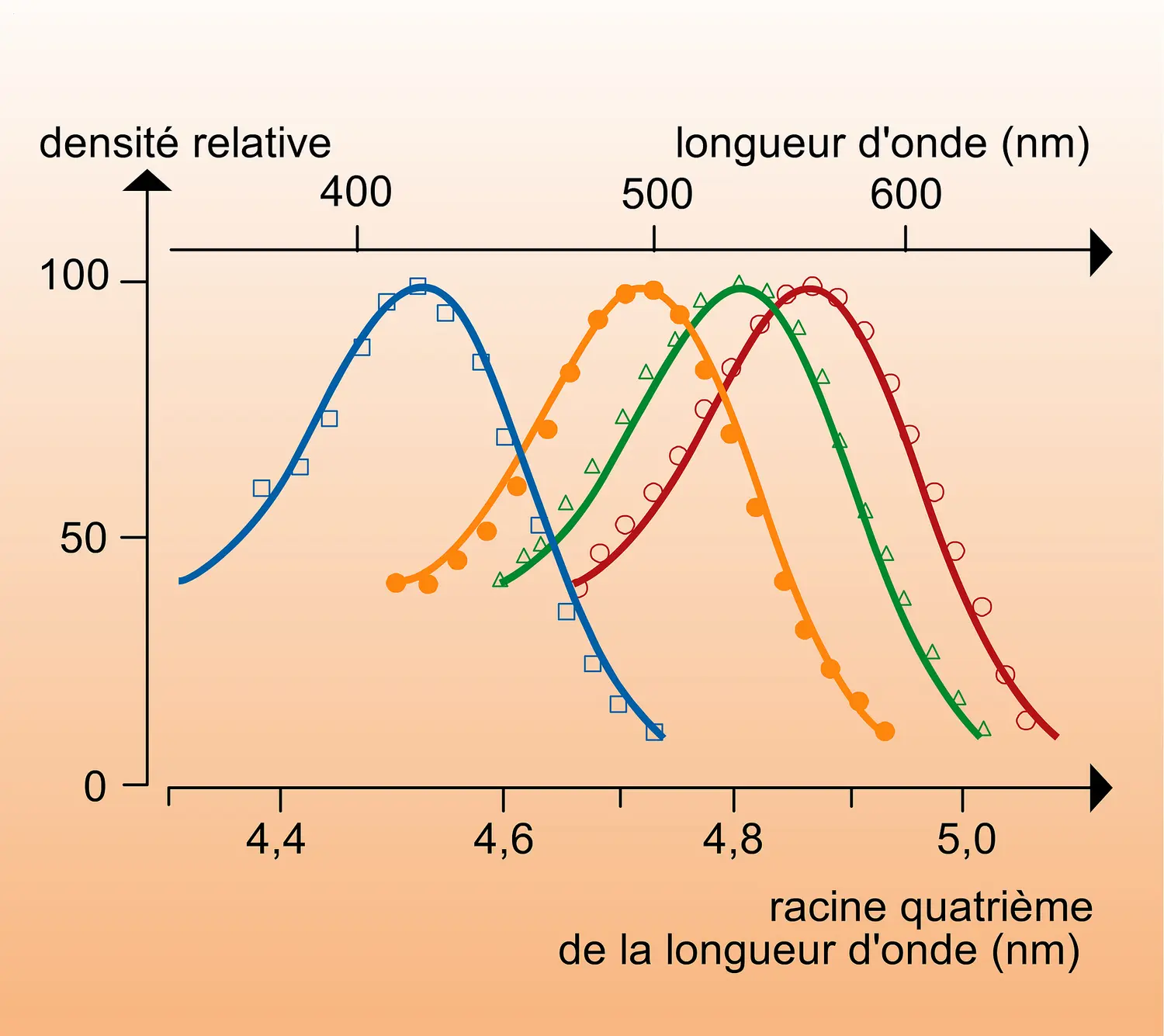 Rétine humaine : courbes de densité spectrale