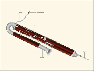 Contrebasson - crédits : Encyclopædia Universalis France