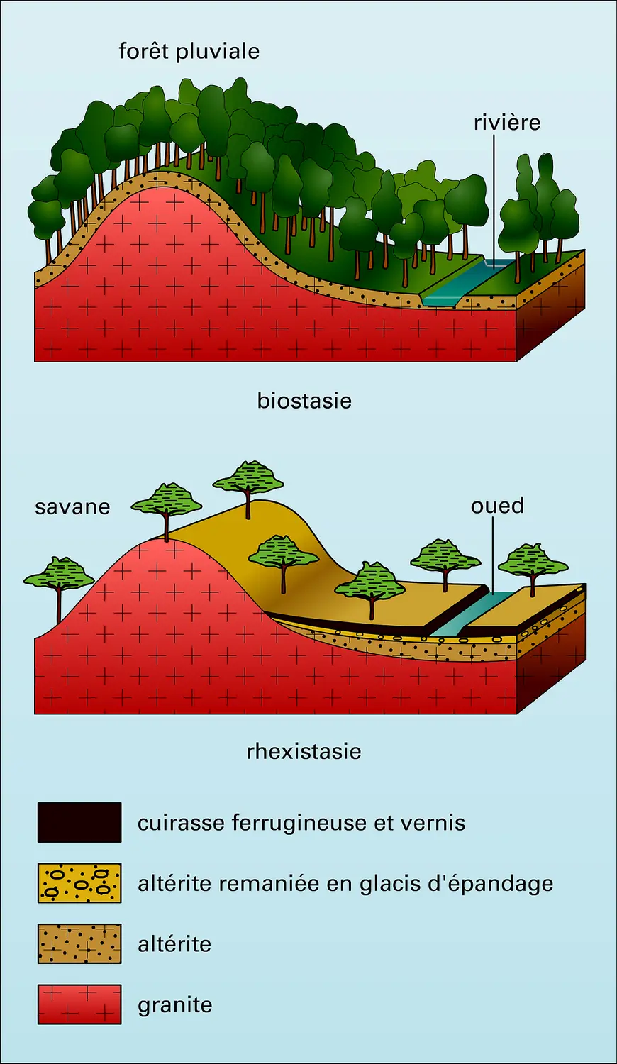 Assèchement d'un climat tropical