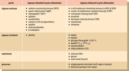 Principaux signaux contrôlant la prise alimentaire - crédits : Encyclopædia Universalis France