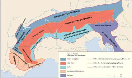 Phytogéographie - crédits : Encyclopædia Universalis France