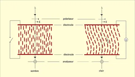 Biréfringence contrôlée - crédits : Encyclopædia Universalis France