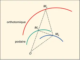 Podaire et orthotomique d'une courbe - crédits : Encyclopædia Universalis France