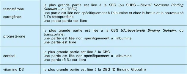 Protéines de transport - crédits : Encyclopædia Universalis France