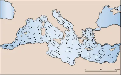 Méditerranée : courants de surface - crédits : Encyclopædia Universalis France