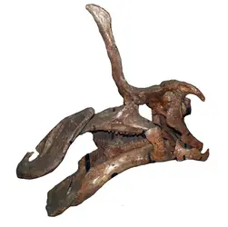 <em>Tsintaosaurus spinorhinus </em> - crédits : Éric Buffetaut