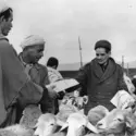 L’autodétermination en Algérie, 1961 - crédits : Keystone/ Getty Images