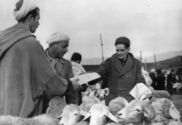 L’autodétermination en Algérie, 1961 - crédits : Keystone/ Getty Images