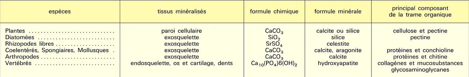 Tissus biologiques minéralisés