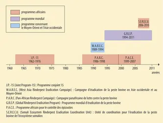 Peste bovine : principaux programmes de vaccination et d'éradication - crédits : Encyclopædia Universalis France