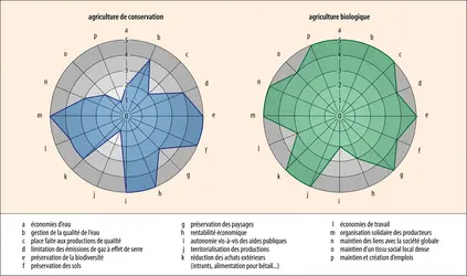 Agriculture de conservation et agriculture biologique - crédits : Encyclopædia Universalis France