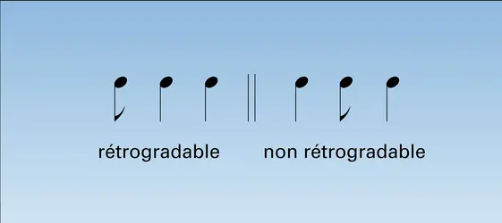 Cellule rythmique - crédits : Encyclopædia Universalis France