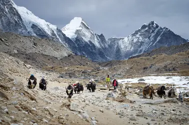 Parc national de Sagarmatha, Népal - crédits : B. Oksana / Shutterstock.com