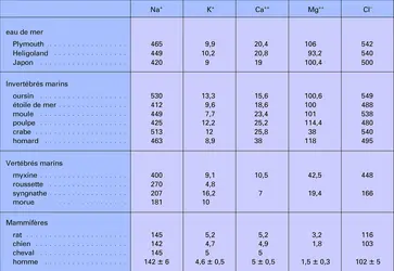 Concentrations moyennes de l'eau de mer - crédits : Encyclopædia Universalis France