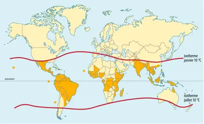 Distribution géographique de la dengue - crédits : Encyclopædia Universalis France
