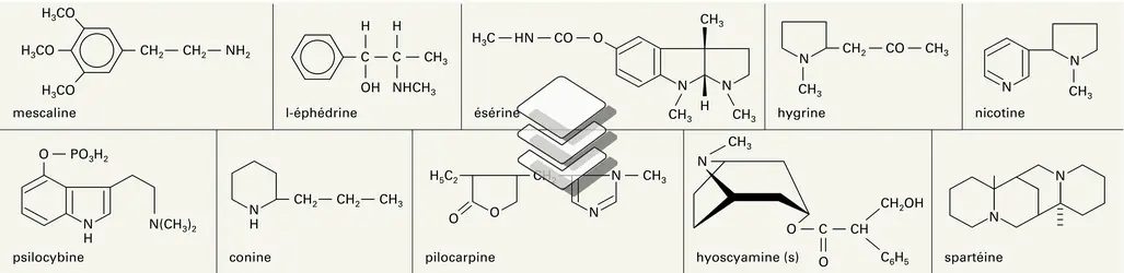 Alcaloïdes d'origine végétale - crédits : Encyclopædia Universalis France