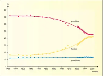 Alimentation : structure nutritionnelle de la consommation alimentaire en France - crédits : Encyclopædia Universalis France