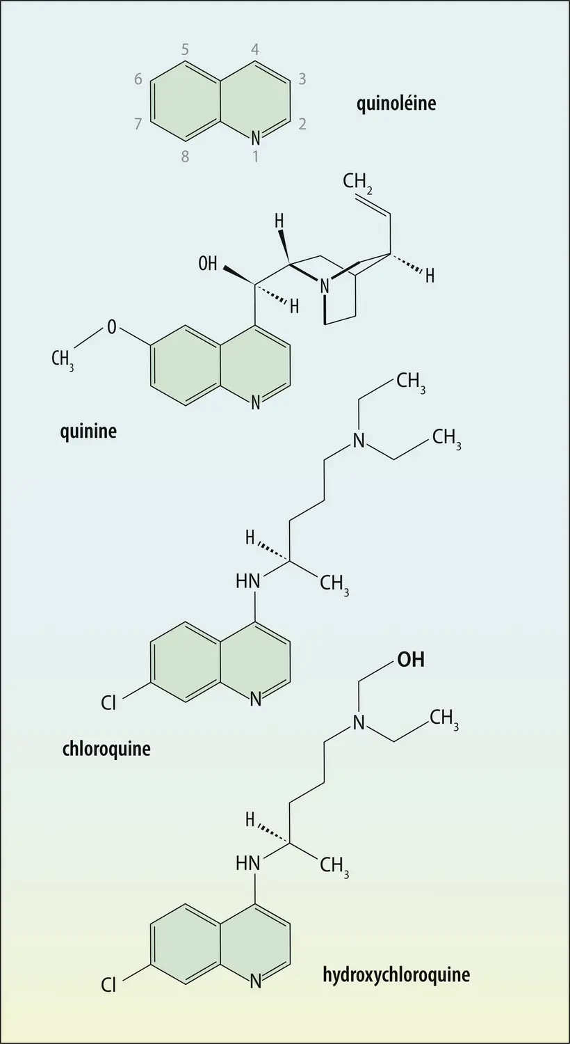 Relation entre quinoléine et molécules antipaludéennes