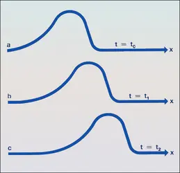 Corde : onde transversale - crédits : Encyclopædia Universalis France