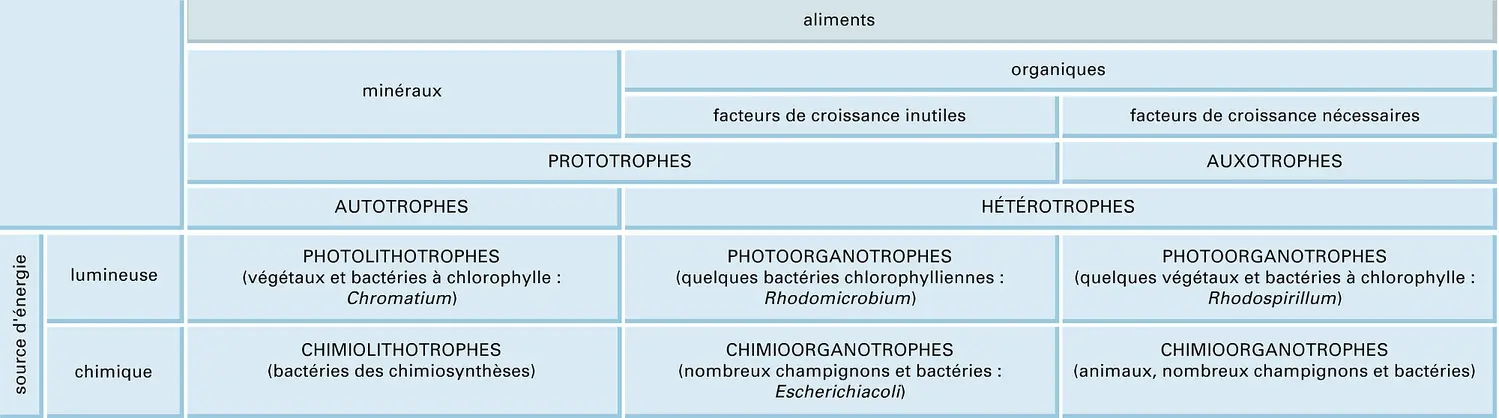 Types trophiques