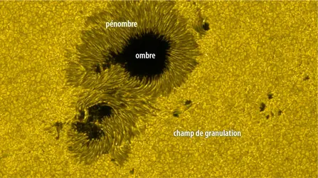 Tache solaire - crédits : Hinode JAXA/ NASA