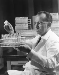 Jonas Salk - crédits : Keystone Features/ Hulton Archive/ Getty Images