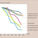 Homme : fonction physiologiques et âge - crédits : Encyclopædia Universalis France