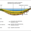 Hydrocarbures: genèse et migration - crédits : Encyclopædia Universalis France