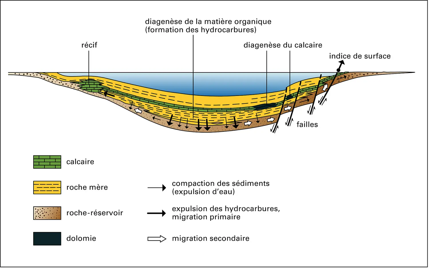 Hydrocarbures: genèse et migration