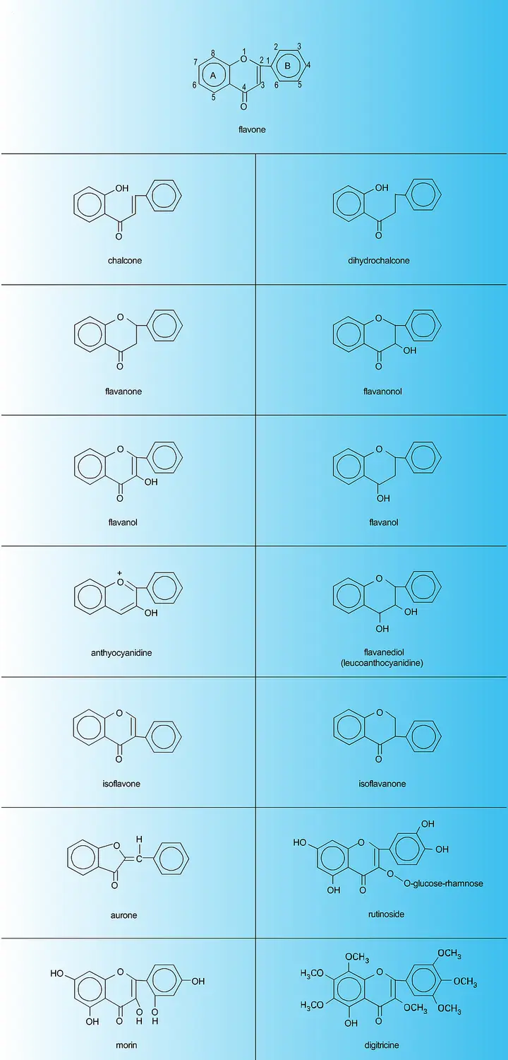 Flavonoïdes