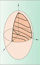 Demi-ellipse limite - crédits : Encyclopædia Universalis France