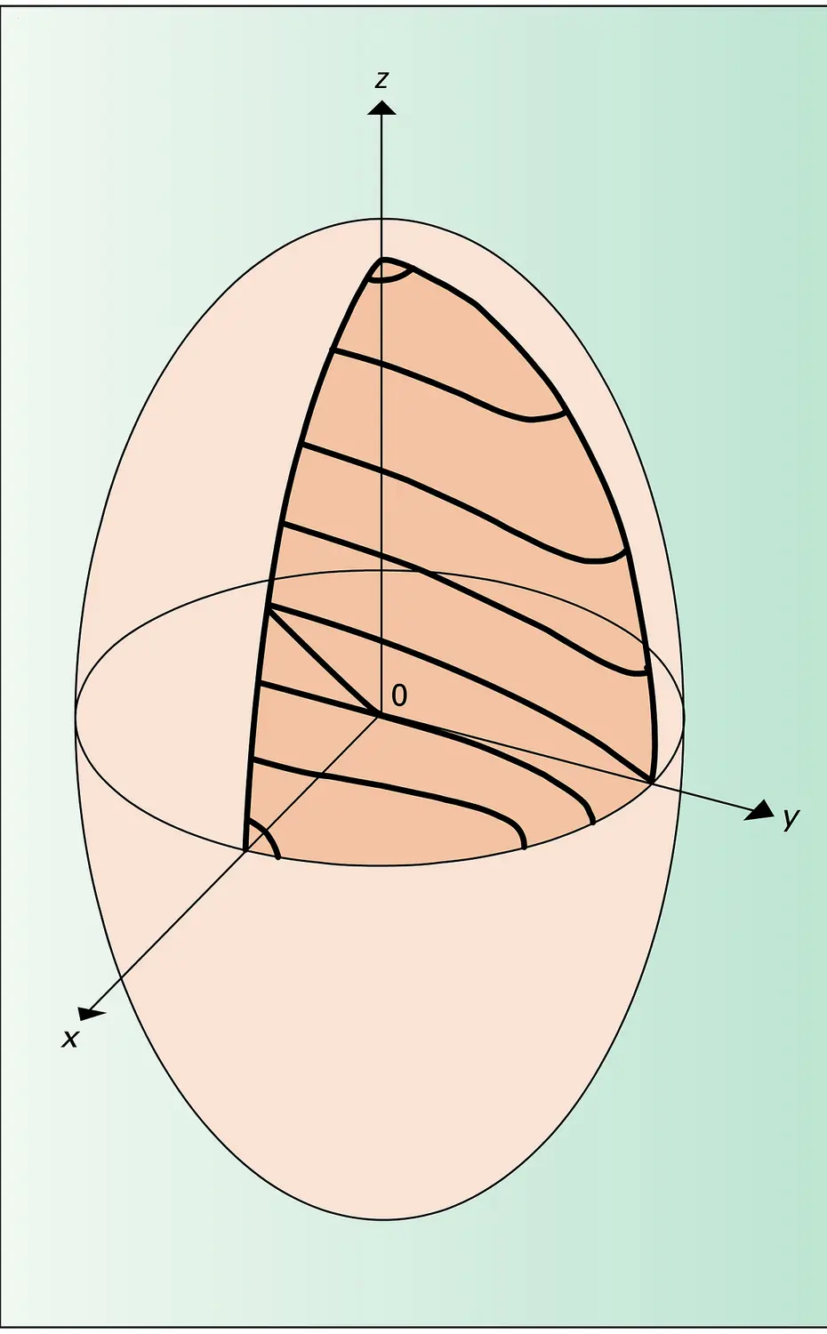 Demi-ellipse limite