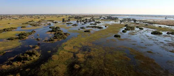 Marécage de l'Okavango ( Botswana) - crédits :  Chris Jackson/ Getty Images