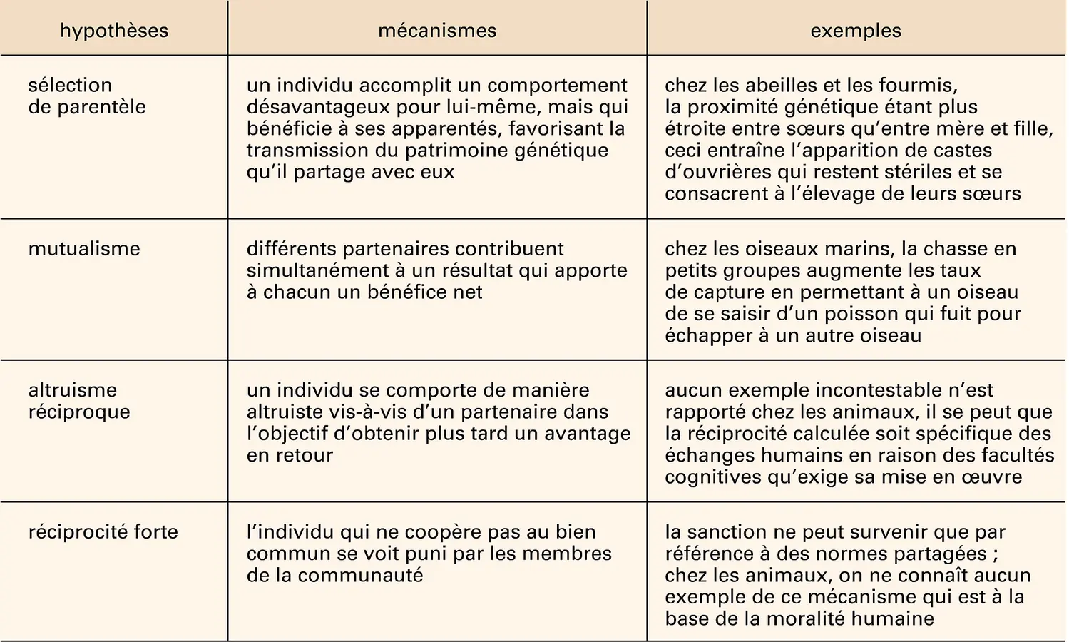 Sociétés animales : la coopération et ses origines