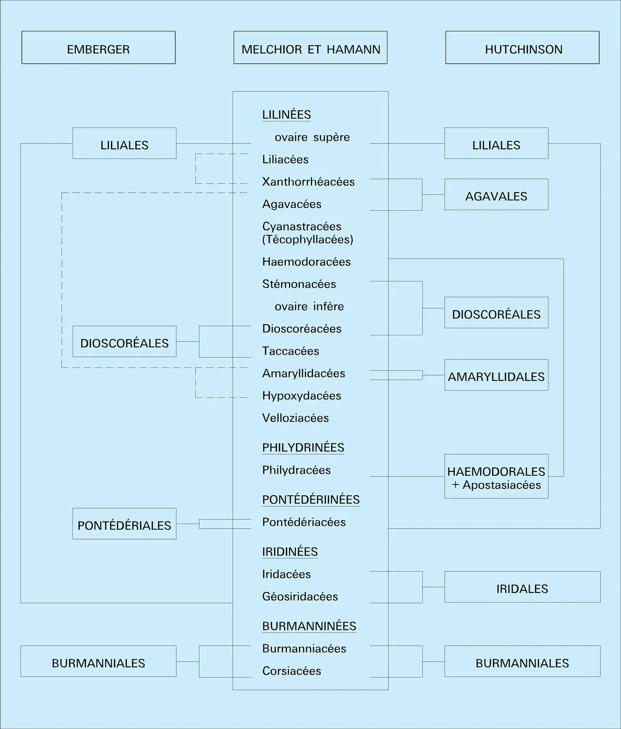 Liliales : classification